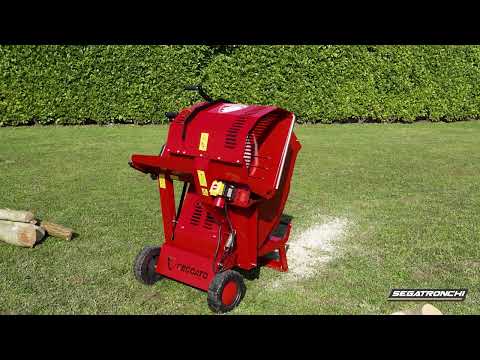 SEGATRONCHI ELETTRICA TRIFASE - CECCATO OLINDO