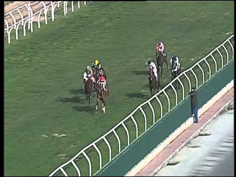 Galoppo 16/02/2016 - 1° corsa