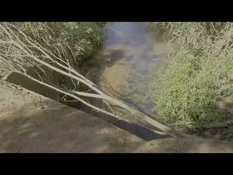 CACHOEIRA EM SANTA INES