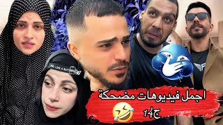 زعيم البيت 🤣ام سيف جيفارا محمد رامي نانو 🤣🤣