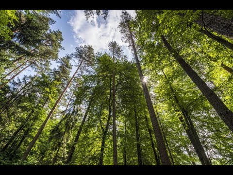 Ćwiczenia na mięśnie brzucha wideo Maści do mięśni łydek