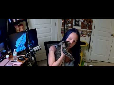 #ASMR with #tinglebellestudios Hair Brushing Therapy