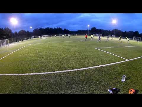 30 07 19   ATTEMPT BIRK SAVE JOE