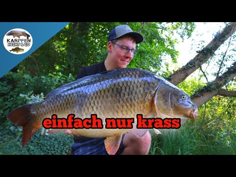 Eine perfekte Nacht beim Karpfenangeln