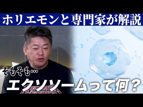 ソースメイジについて詳しく解説