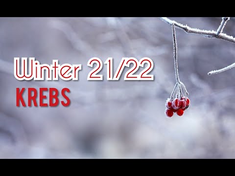 DEN DRACHEN REITEN ♋Krebs♋ WinterOrakel ❄Dez, Jan, Feb