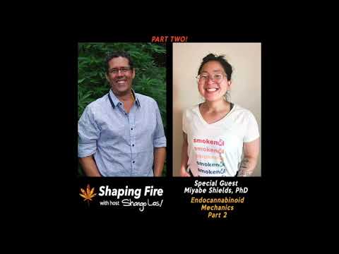 Shaping Fire Ep. 81 - Part Two - Endocannabinoid Mechanics with Miyabe Shields PhD