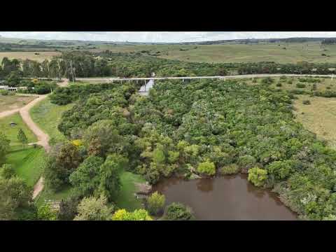 Arachania Cerro Largo
