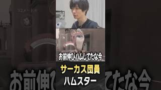 サーカスをするハムスターに爆笑するメルトン【 OverWatch / メルトン 切り抜き】 #short #shorts