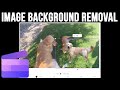 How To Remove The Background Of A Photo In Clipchamp To Make It Transparent