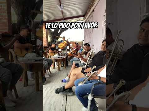 Te lo pido por favor | Mariachi Dolorense | Dolores Hidalgo, Guanajuato