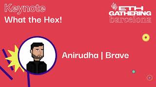 WHAT THE HEX! (#23)
