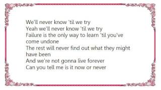 Lifehouse - We&#39;ll Never Know Lyrics