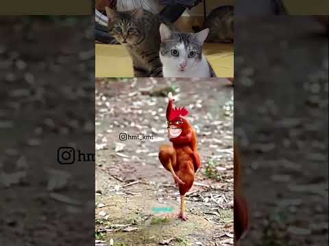 Murgesh Bhai 😅😱 #comwdyvideos #duet #funny #dogeshbhai #animals #comedy #murgeshbhai