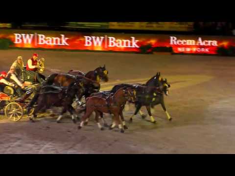 STUTTGART GERMAN MASTERS - Show - Fahrquadrille Gebrüder Brauchle