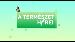 TERMÉSZET HÍREI