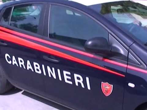 ONDA TG 25.03.2014 - FURTO LEGNA: ARRESTO A PREZZA