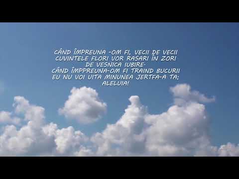 Eu Te voi lăuda - Negativ