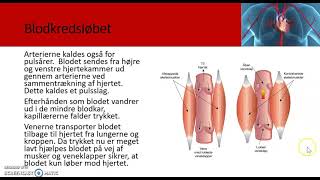 blod og blodkredsløb