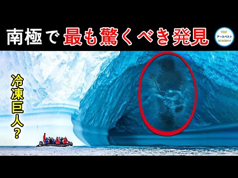 南極の雪の中で: 研究者が驚くべき発見をする