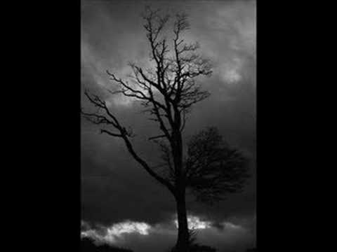 El dúo salteño - Zamba para La Viuda