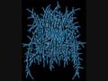 Waking The Cadaver Blood Splattered Satisfaction