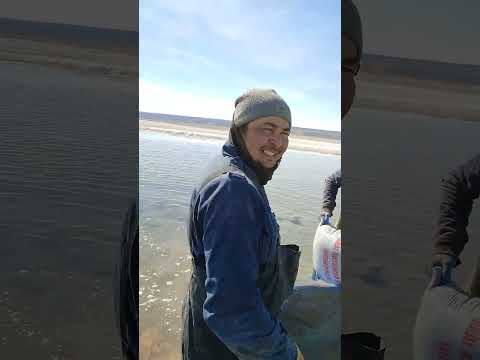 Moynaq qurt 2023 8 mart