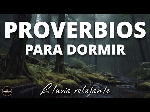 Proverbios para Dormir | Biblia Hablada | Sonido de Lluvia | 3 HRS