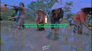 Download lagu story wa petani cantik ll lagu bucin keren❗ mp3 Download lagu story wa petani cantik ll lagu bucin keren❗ mp3