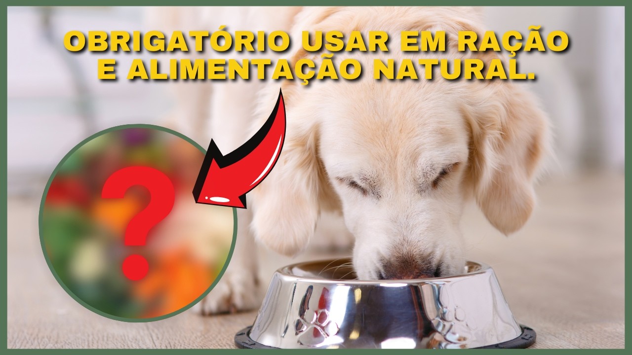 ADD EVERY DAY. All About the Vegetables Category for Dogs and Cats.