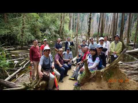 2017秋遊溪頭忘憂森林b