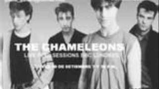 The Chameleons - Pleasure and Pain