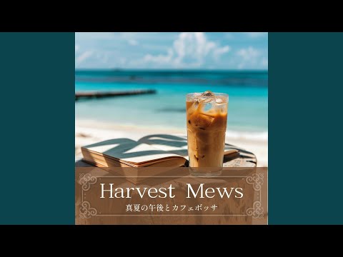  2024 年の満月とガーデニング – 月の満ち欠けに応じて、いつ何を植えるべきか?  庭園