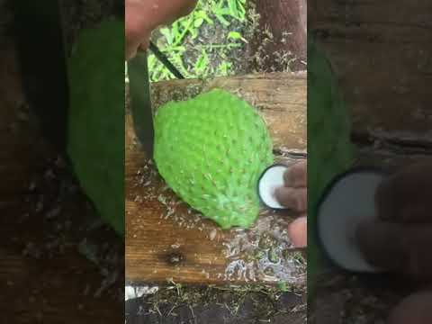 Fast working skills/ fast# working/skills/ viral vedio#