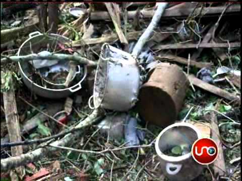 Guerrilleros sobrevivientes se quedaron sin víveres