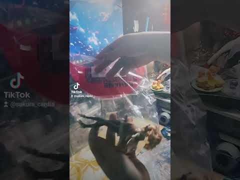 Madoka Magica x Bakemonogatri Madoka Ver. B Umboxing