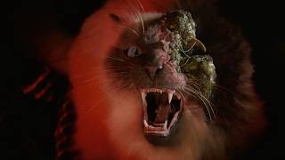【感染したら即爆発！】猫も鹿も人間も…致死率100％の未知なる脅威／映画『アンダー・ストレージ／未知なる脅威』予告編