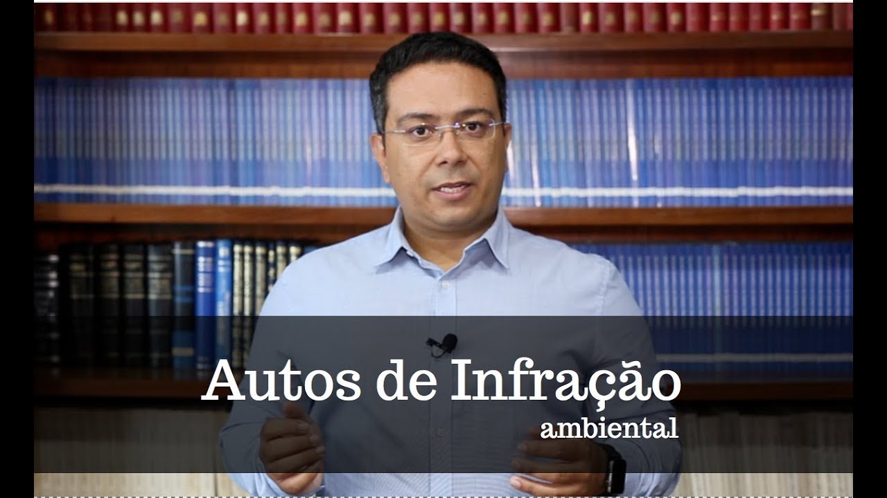 Auto de Infração Ambiental: Saiba o que Fazer