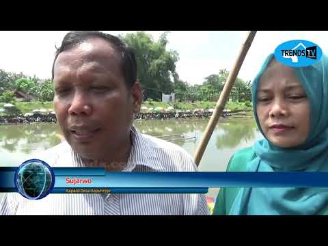 MAGETAN - Mancing Mania di Embung Duwok Desa Kepuhrejo