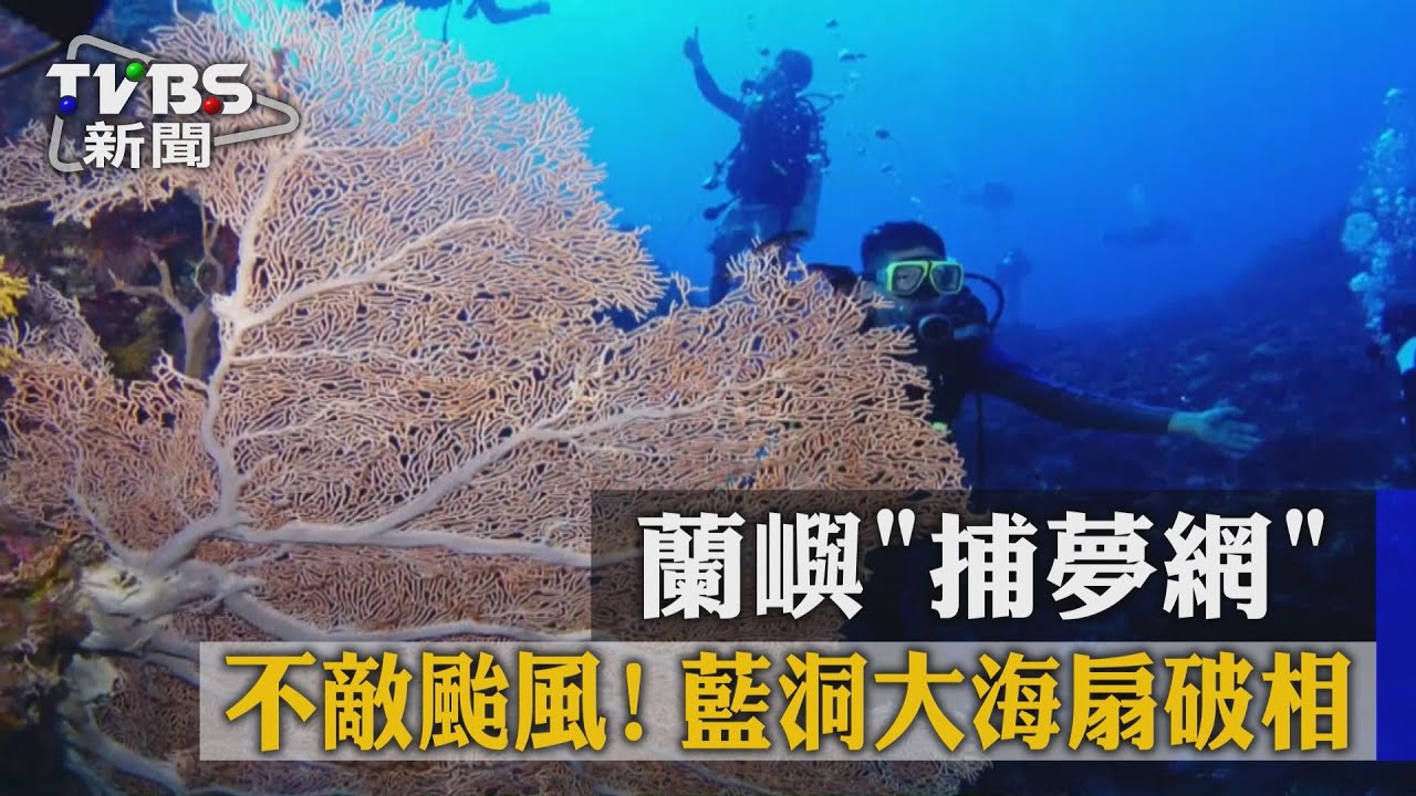 不敵颱風!蘭嶼「捕夢網」 藍洞大海扇破相