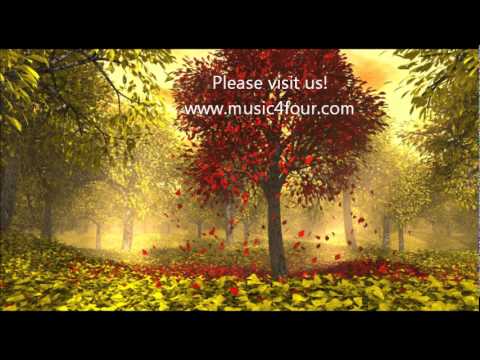 String Quartet Arrangements- Kalinka (Russian Traditional)