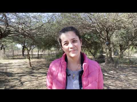 El Gobierno de Salta y Unicef implementan talleres de crianza junto a familias originarias