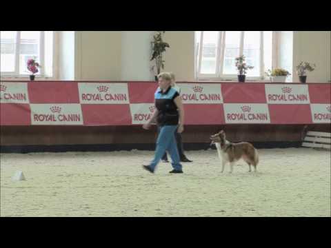 Ekaterina Gurova - Nafani Fast Flying Witch