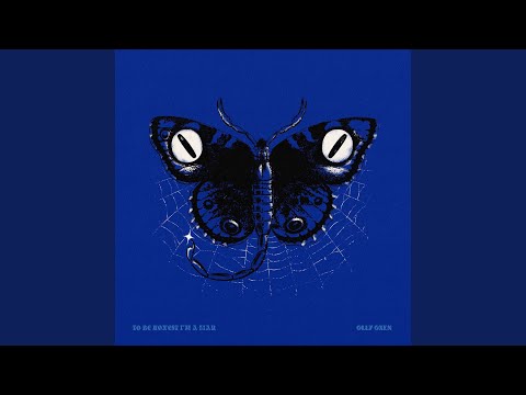 To Be Honest I'm a Liar