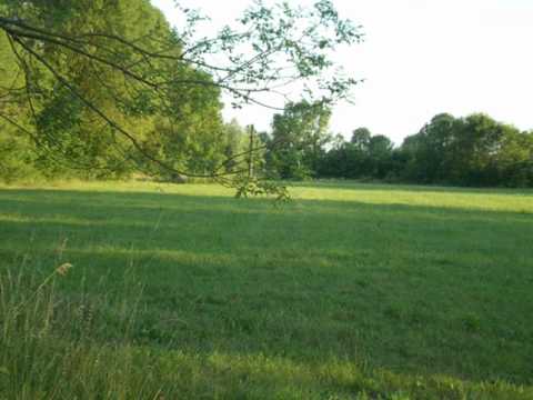 MPS Babogredci-Babogredski stanovi