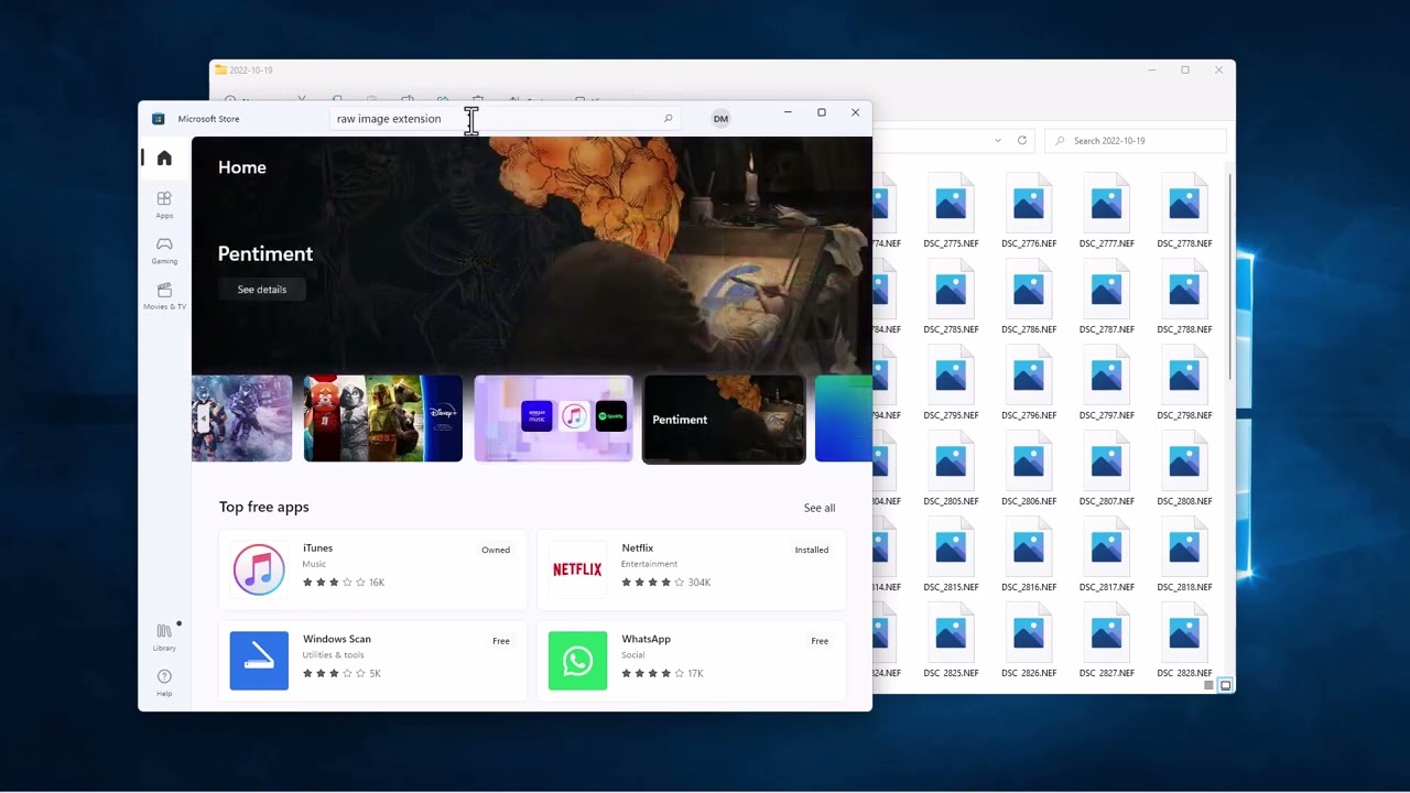 Raw Image Files - How to Get WIndows to Display Thumbnails for Raw Image Files