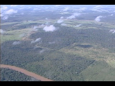 Brasil atinge meta de redução de emissões de gases do efeito estufa