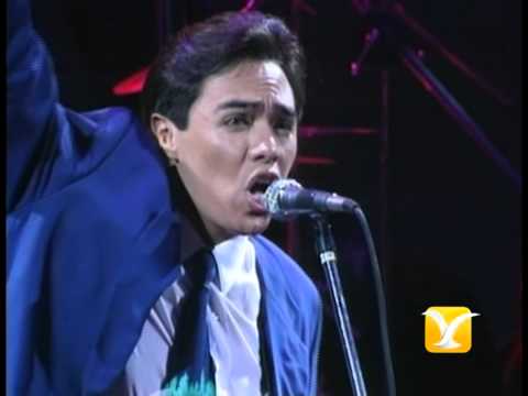 Los Temerarios, Mi Vida Eres Tú, Festival de Viña 1993