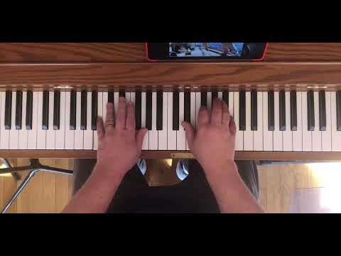 Brian Wilson - Let Him Run Wild (overhead piano cover)