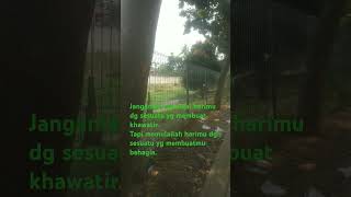 Download lagu Memulailah harimu dgn sesuatu yg membuatmu  bahagia mp3 Download lagu Memulailah harimu dgn sesuatu yg membuatmu  bahagia mp3